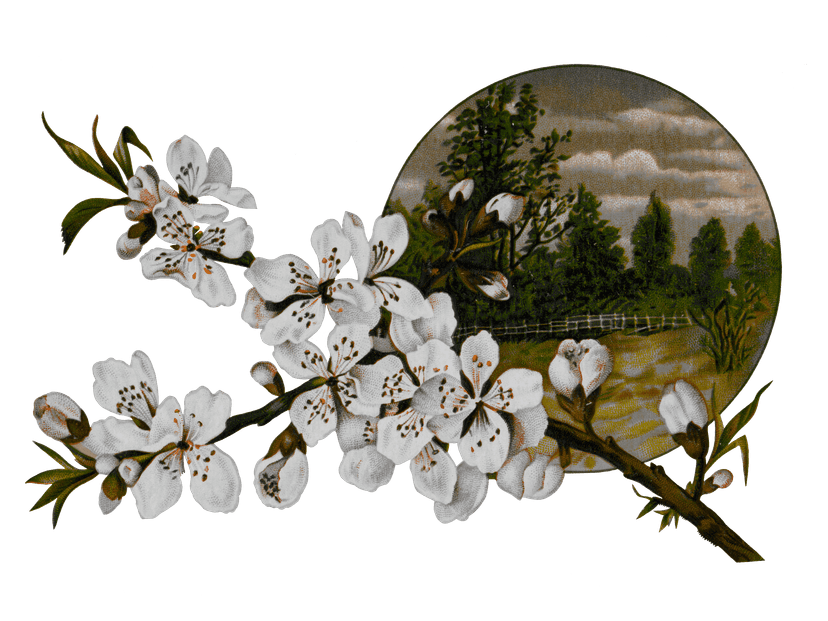 Decorative Flower Sticker