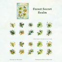 Forest Secret Realm