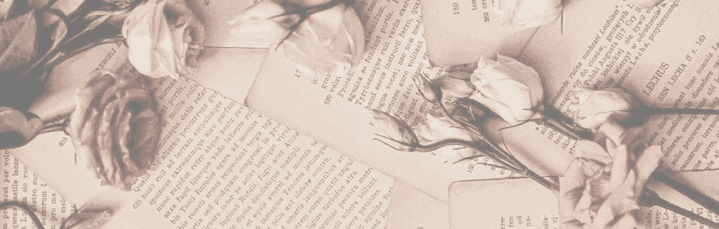 Rose Background